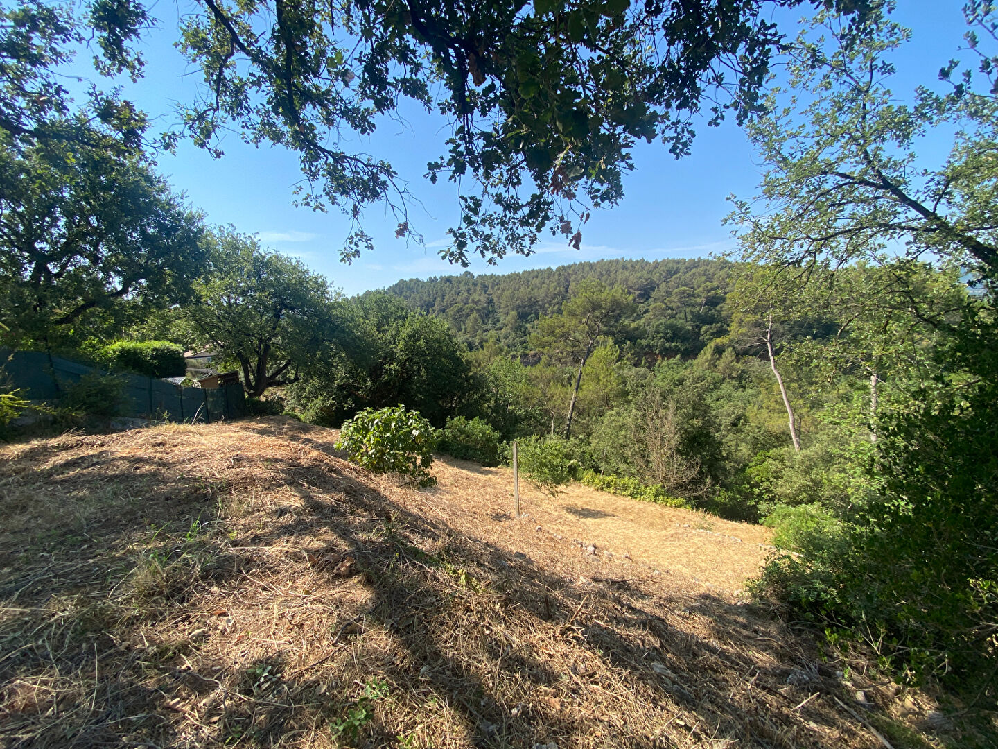 Terrain MOUANS SARTOUX (06370) 2454.00 m²