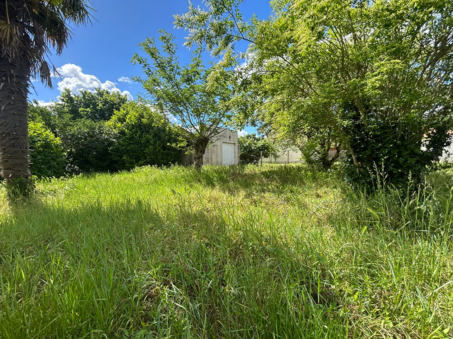 Terrain LE TAILLAN MEDOC (33320) 451.00 m&sup2;