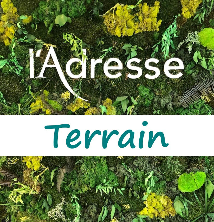 Terrain SAINT MEDARD EN JALLES (33160) 244.00 m&sup2;