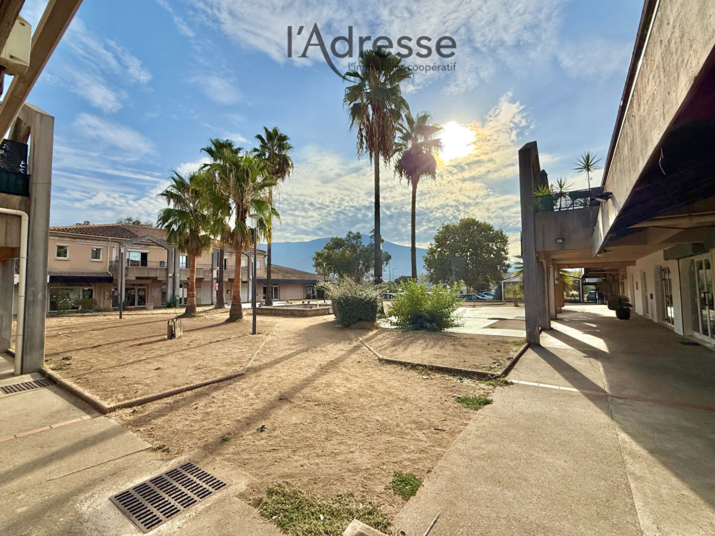 Local commercial SARROLA CARCOPINO (20167) 56.89 m&sup2;
