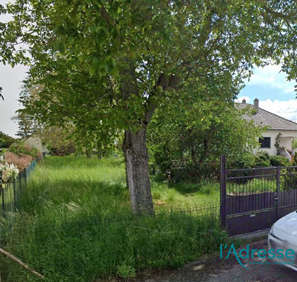 Terrain NIEDERENTZEN (68127) 973.00 m²