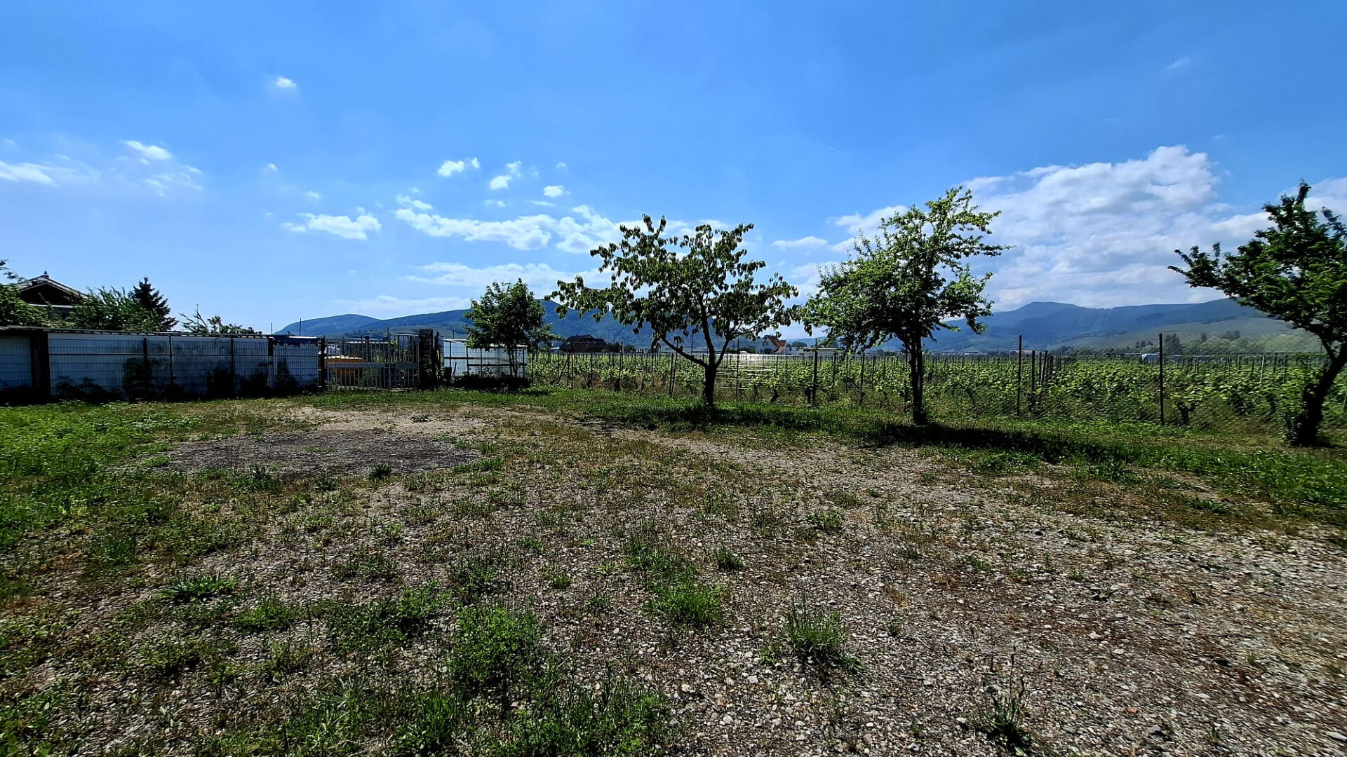 Terrain TURCKHEIM (68230) 500.00 m²
