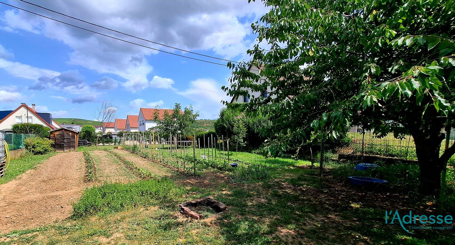 Terrain TURCKHEIM (68230) 489.00 m²