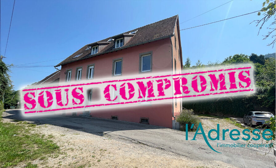 Immeuble LUTTENBACH PRES MUNSTER (68140) 14 pièces 378.19 m²