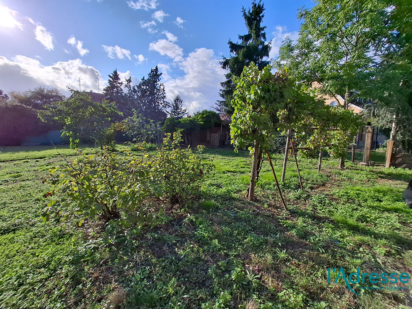 Terrain LOGELBACH (68124) 371.00 m²