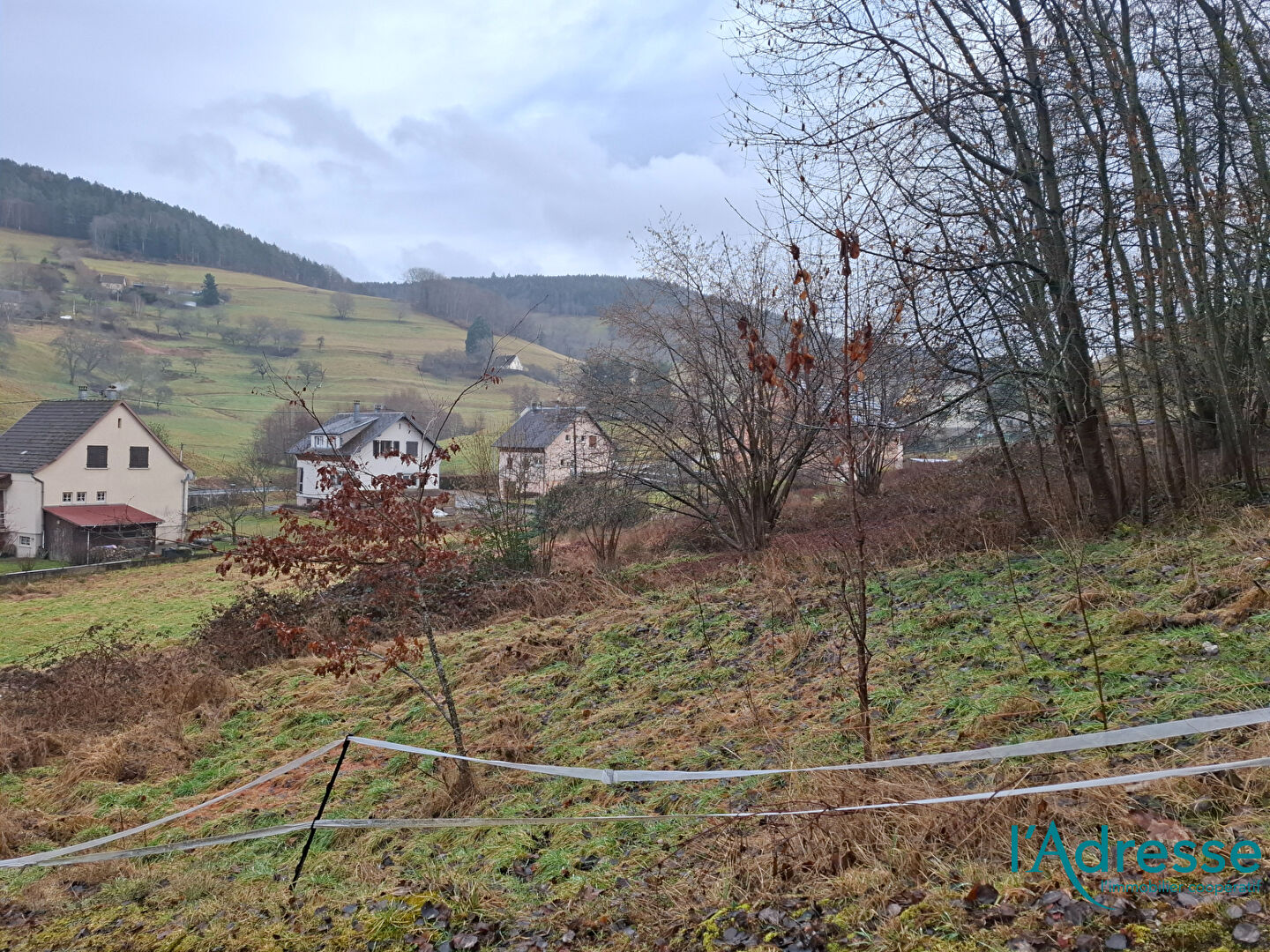 Terrain ORBEY (68370) 1000.00 m&sup2;