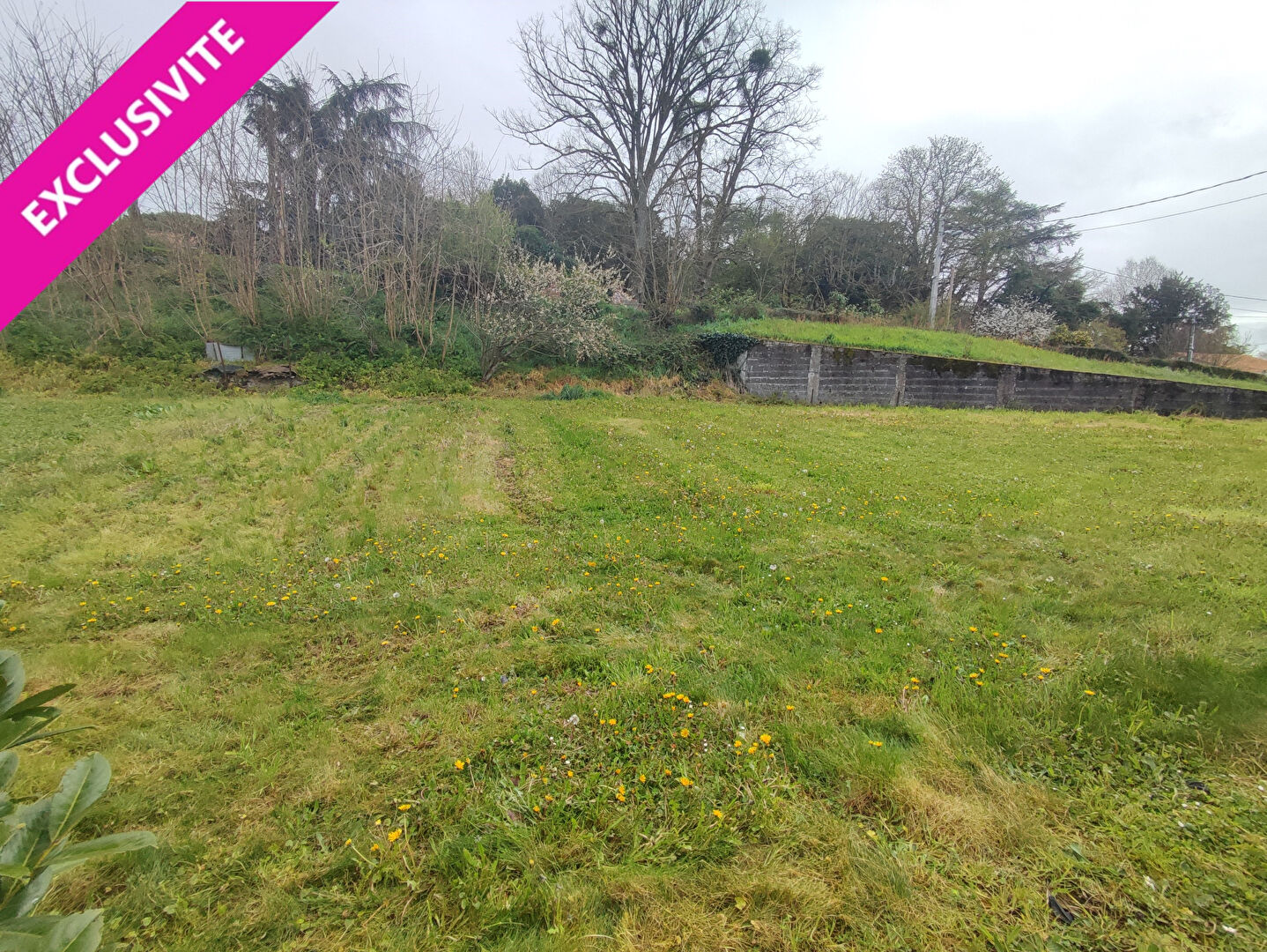 Terrain MONTREVAULT SUR EVRE (49110) 1280.00 m&sup2;