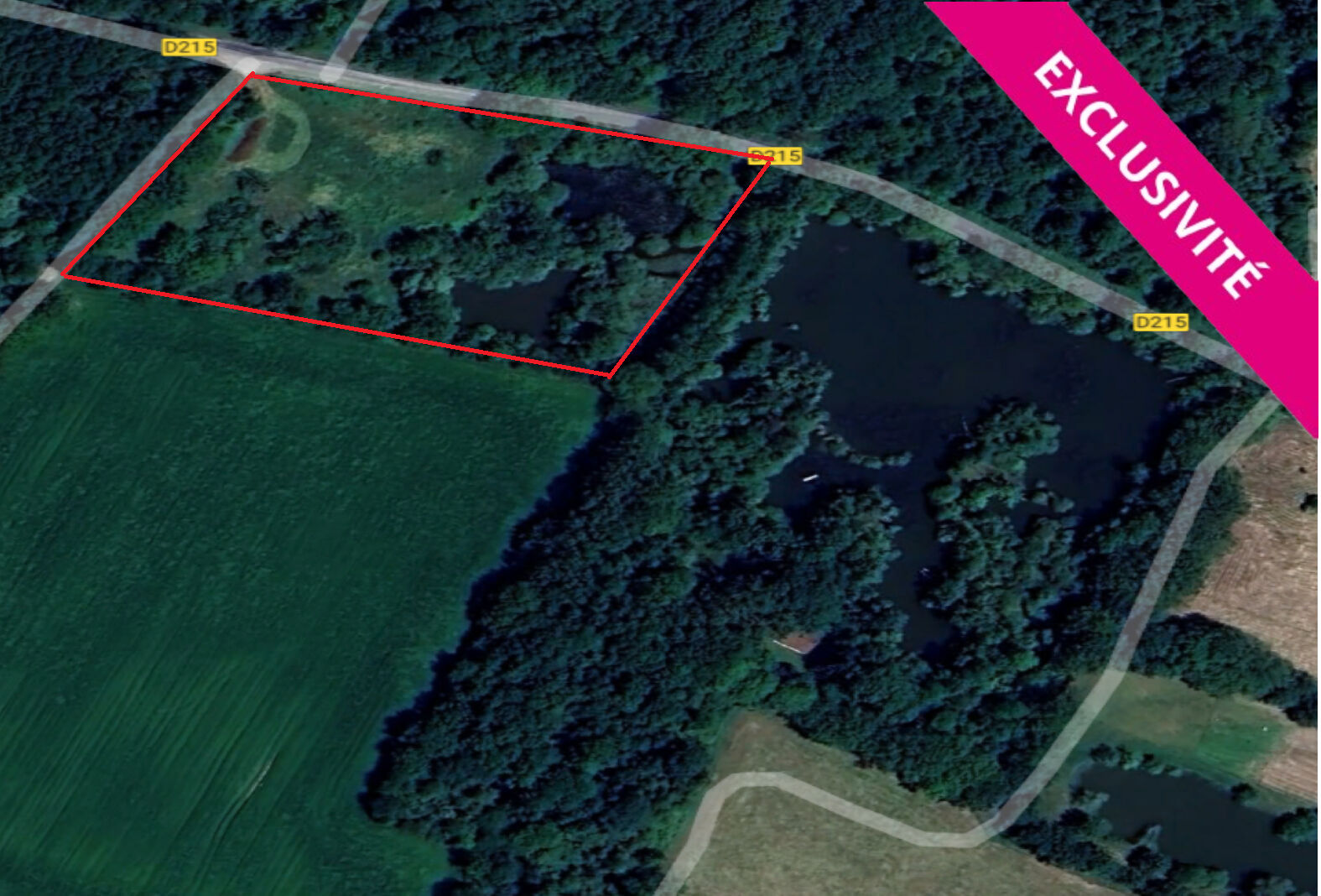 Etang LE PUISET DORE (49600) 11540.00 m&sup2;