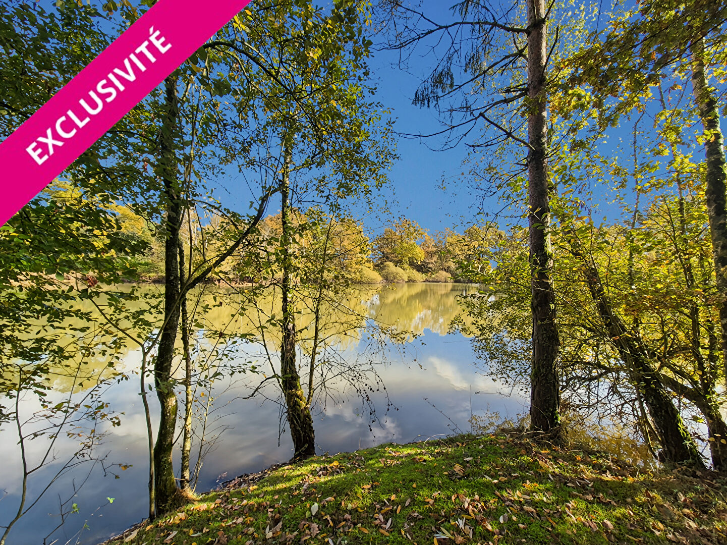 Etang MONTREVAULT SUR EVRE (49600) 21175.00 m&sup2;