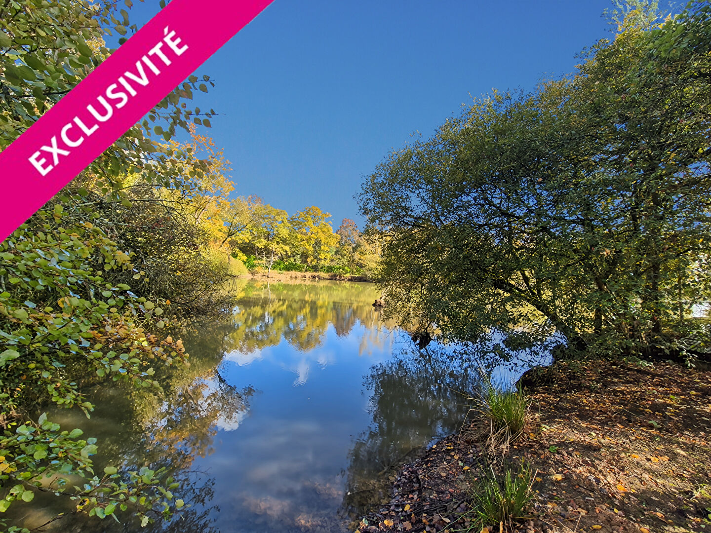 Etang MONTREVAULT SUR EVRE (49600) 11540.00 m&sup2;