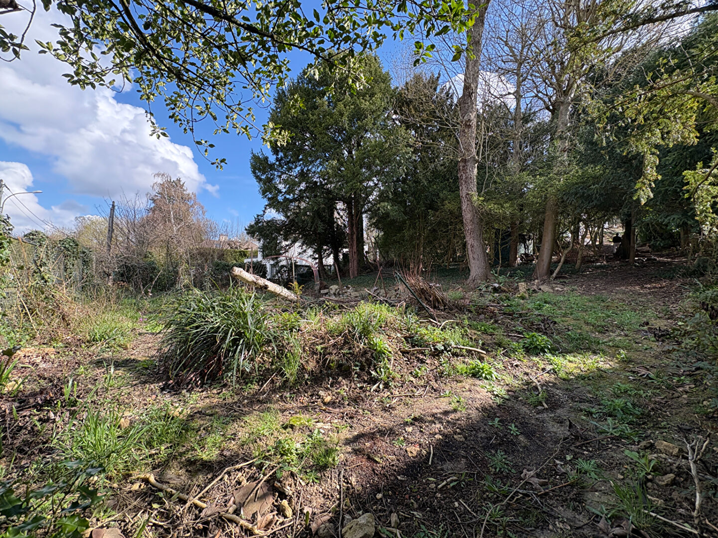 Terrain LE PECQ (78230) 700.00 m&sup2;