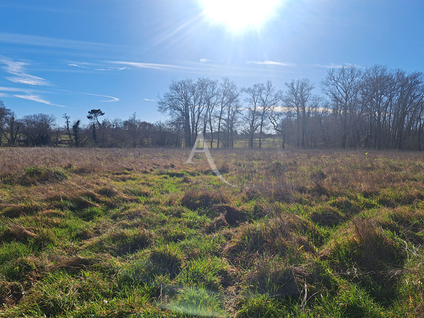 Terrain LABASTIDE D ARMAGNAC (40240) 5200.00 m²
