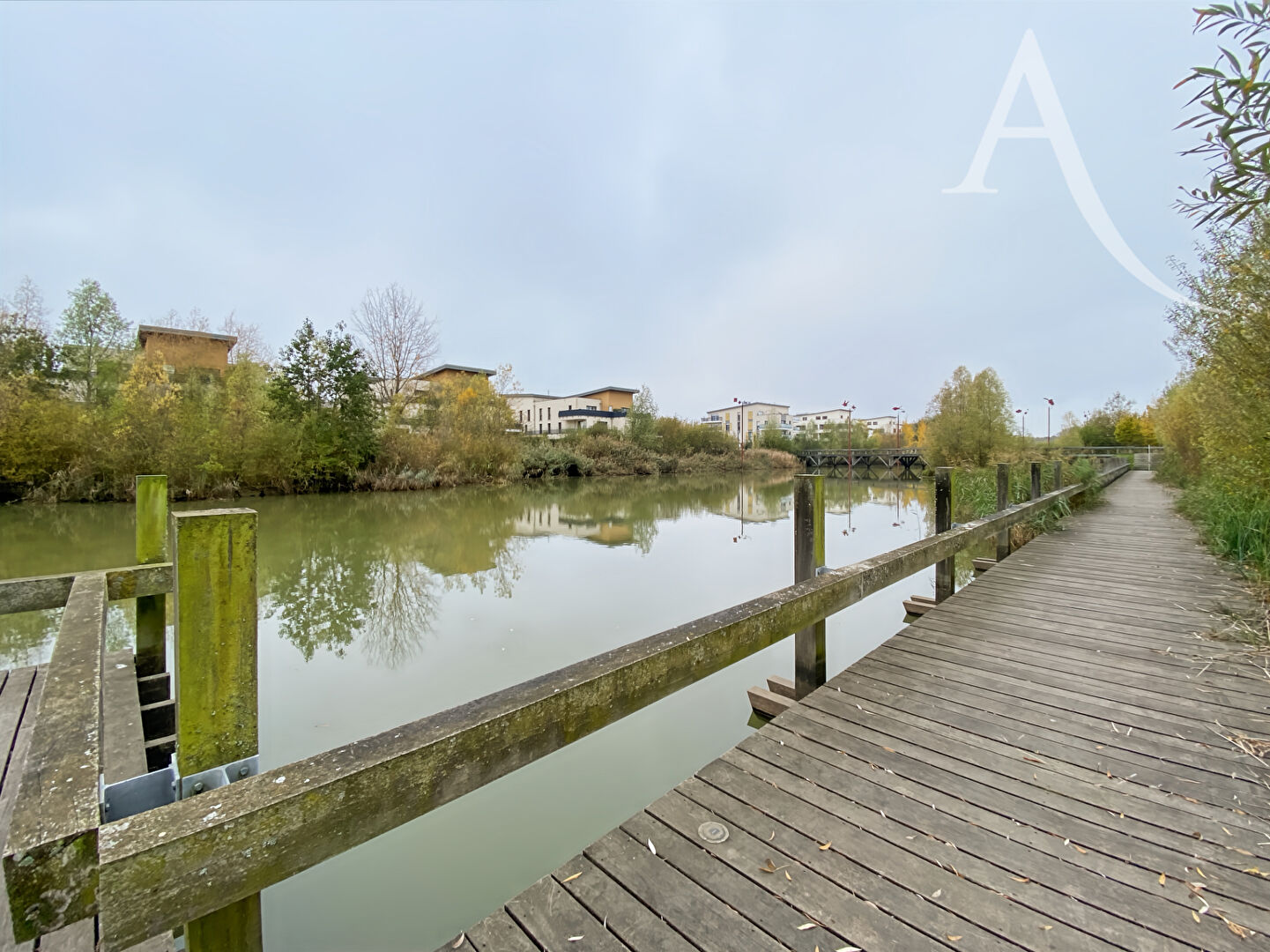 Terrain BOIS D ARCY (78390) 350.00 m²