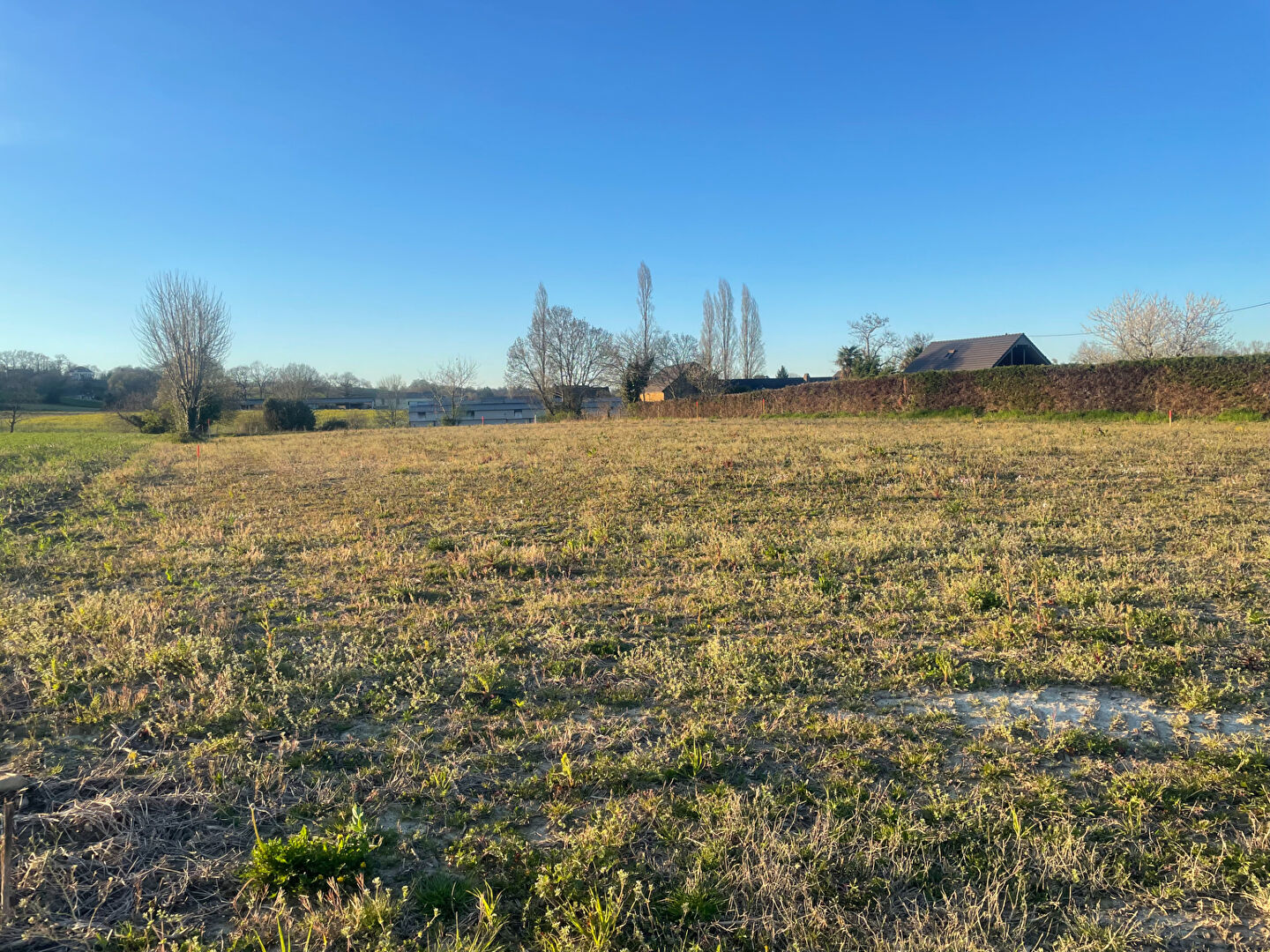 Terrain MORLAAS (64160) 1549.00 m&sup2;