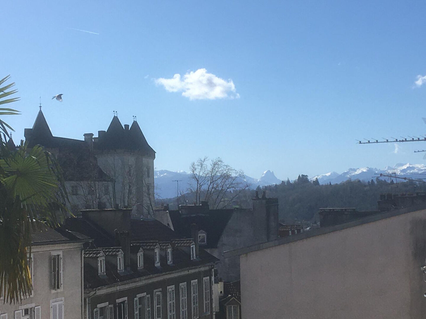 Appartement 3 pièces 79 m² · à Pau · 79,1 m² · 1 050 €/mois