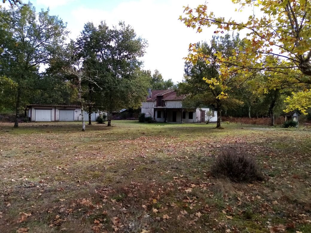 Maison RION DES LANDES (40370) 4 pièces 171.00 m²