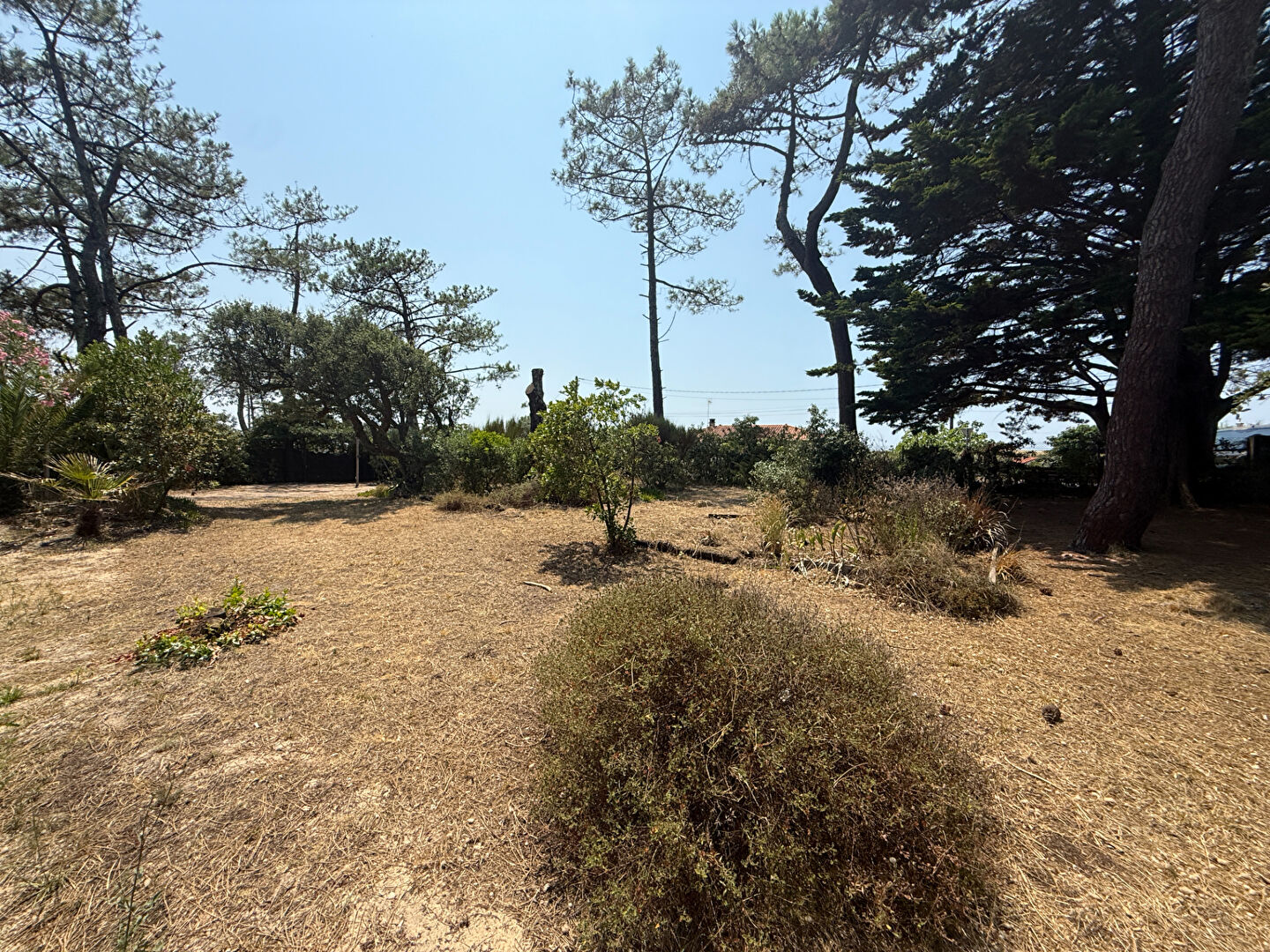 Terrain VIEUX BOUCAU LES BAINS (40480) 294.00 m&sup2;