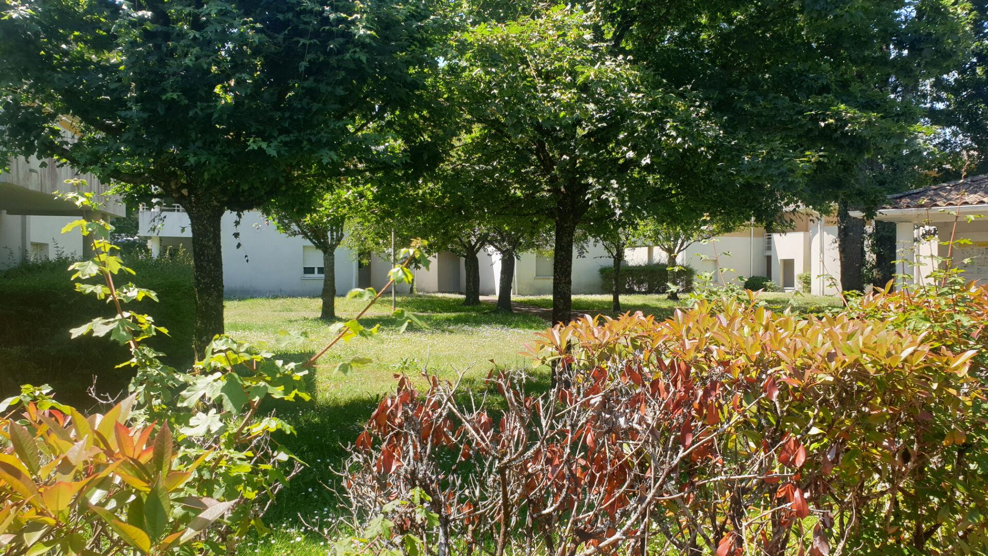 Appartement MARTIGNAS SUR JALLE (33127) 3 pièces 65.00 m²