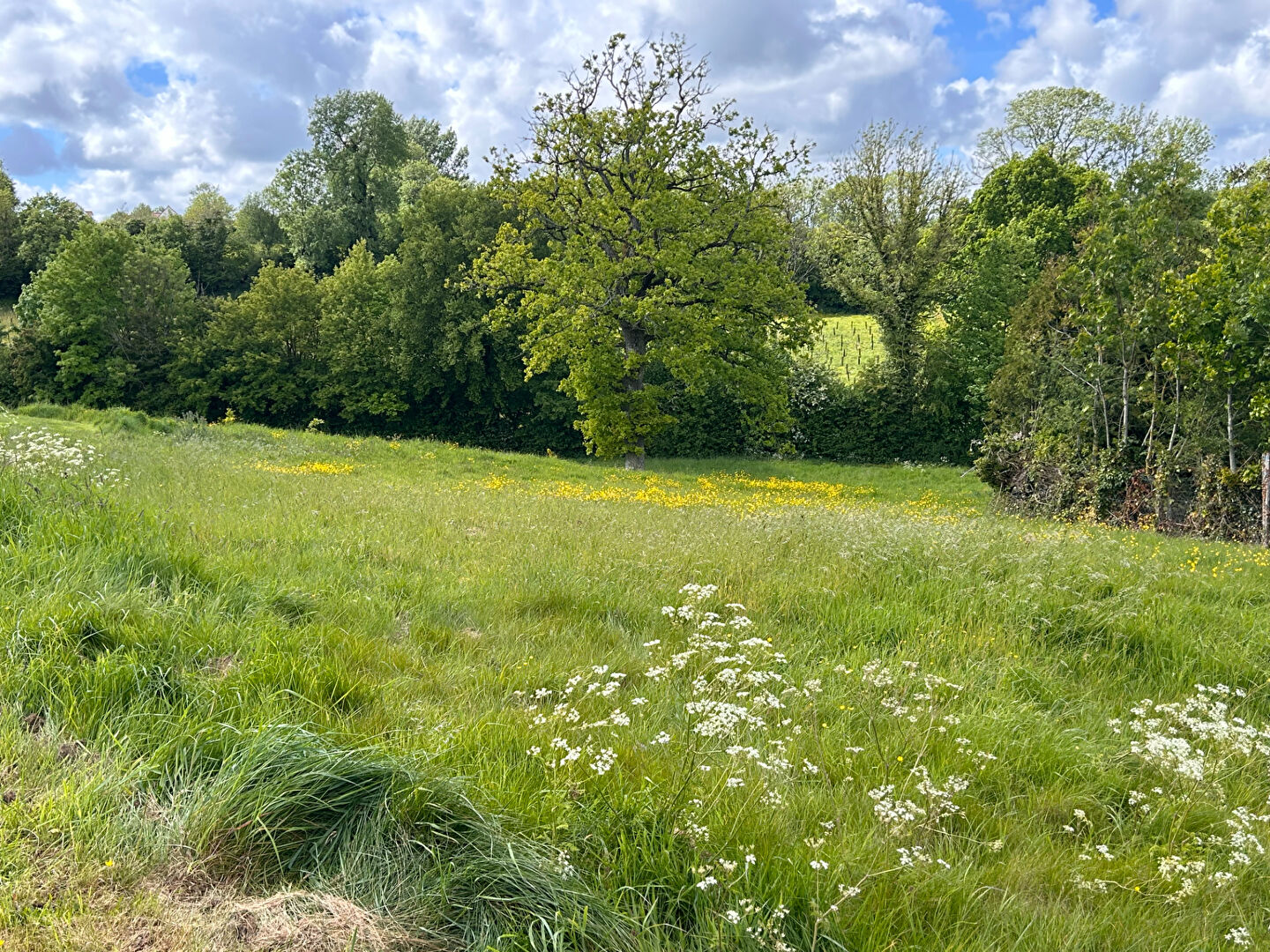Terrain PREURES (62650) 1023.00 m&sup2;