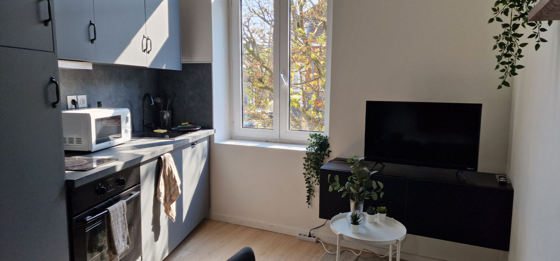 Appartement LILLE (59000) 3 pièces 35.59 m²