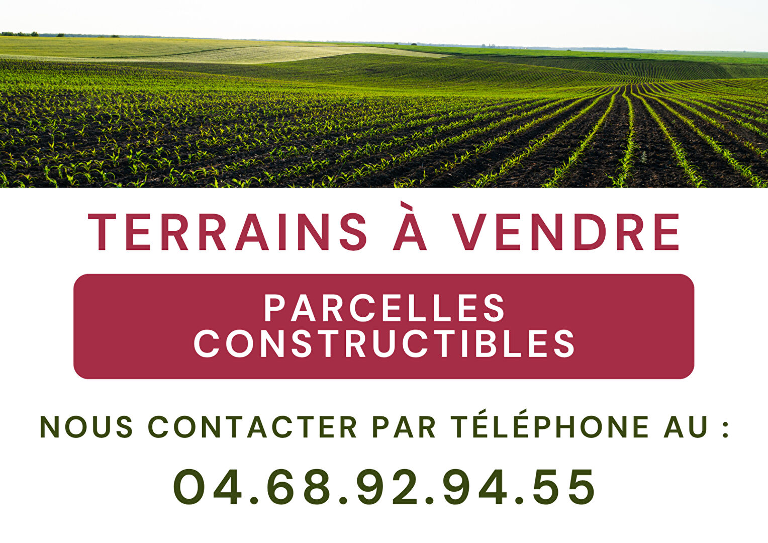 Terrain OPOUL PERILLOS (66600) 770.00 m²
