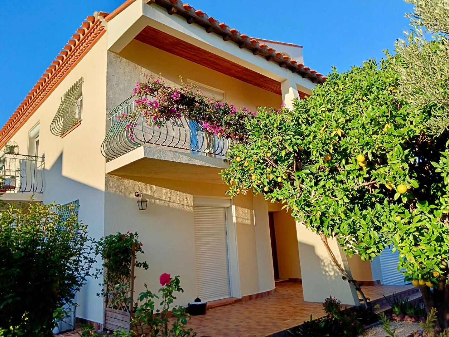 Maison RIVESALTES (66600) 6 pièces 195.43 m²