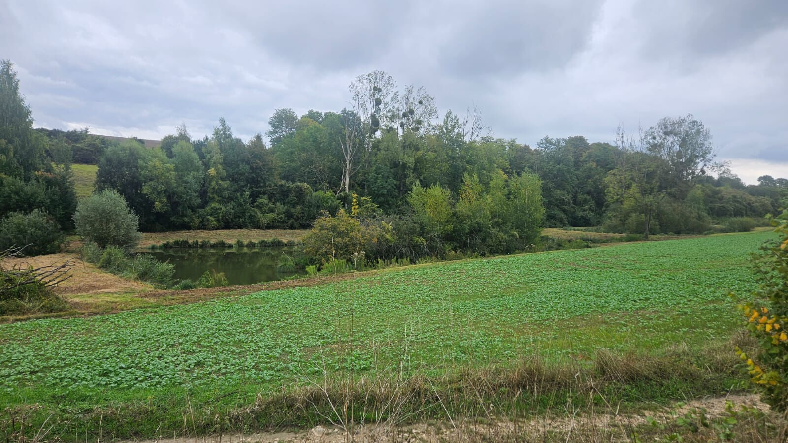 Terrain de loisirs SOISSONS (02200)
