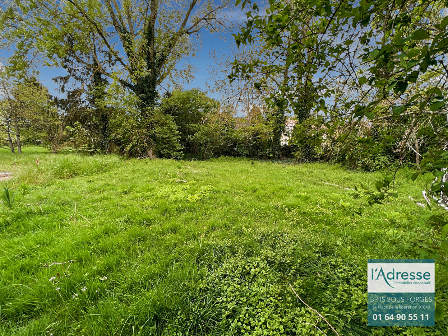 Terrain GOMETZ LA VILLE (91400) 633.00 m²