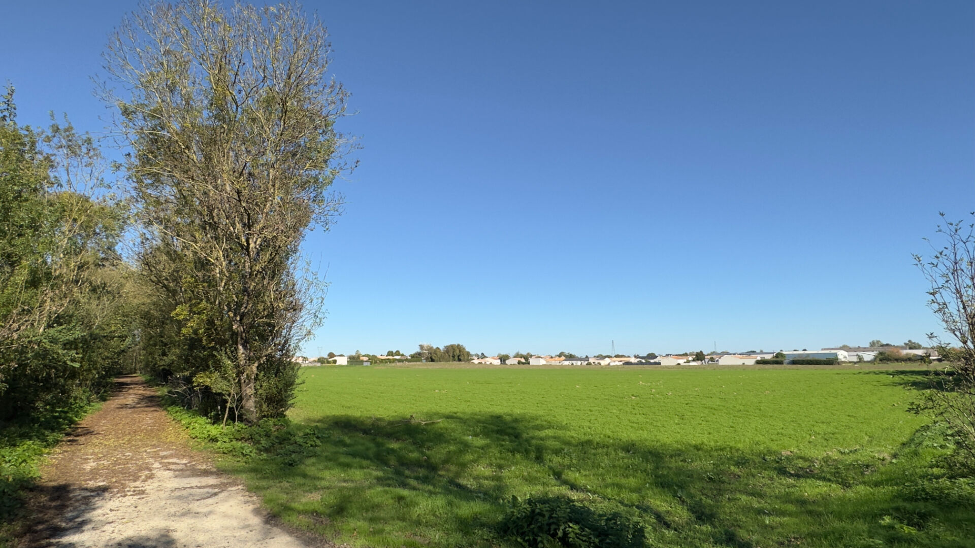 Terrain CHARRON (17230) 272.00 m²