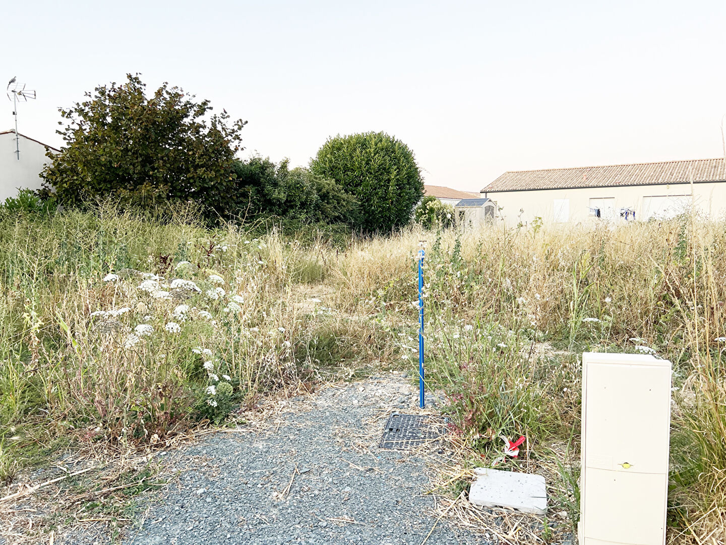Terrain LONGEVES (17230) 405.00 m²