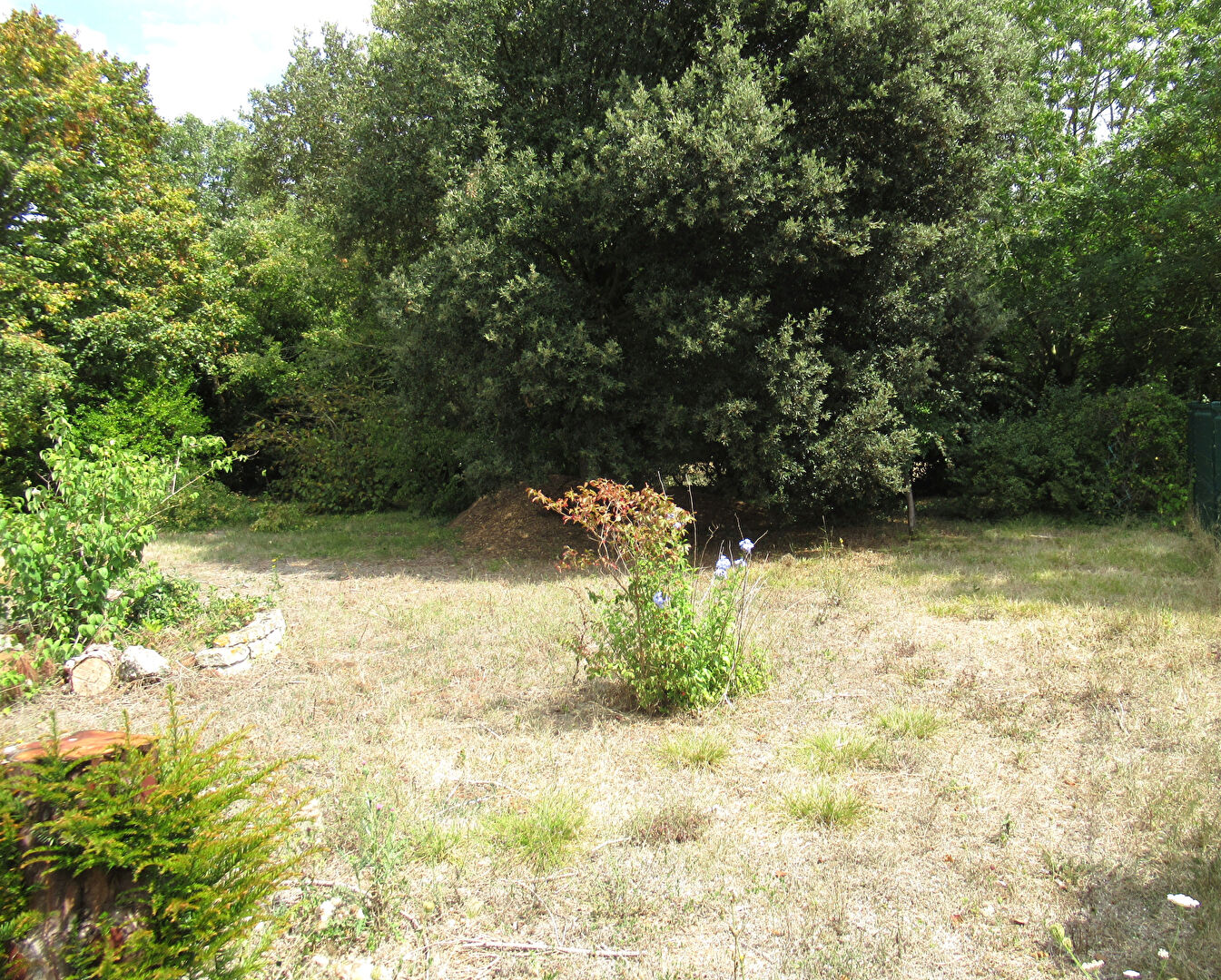 Terrain NIEUL SUR MER (17137) 530.00 m²