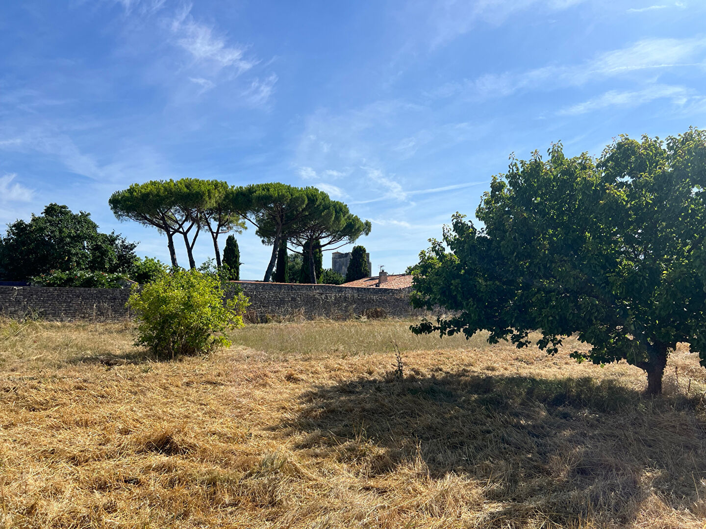 Terrain MARSILLY (17137) 2305.00 m²