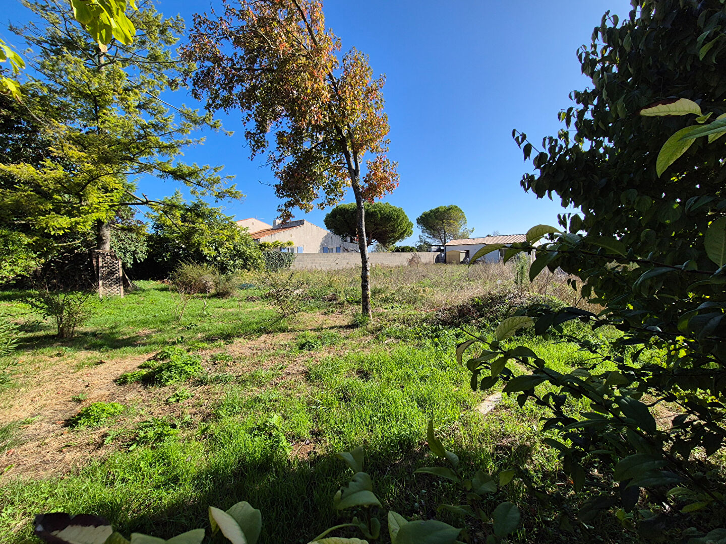 Terrain VILLEDOUX (17230) 323.00 m²
