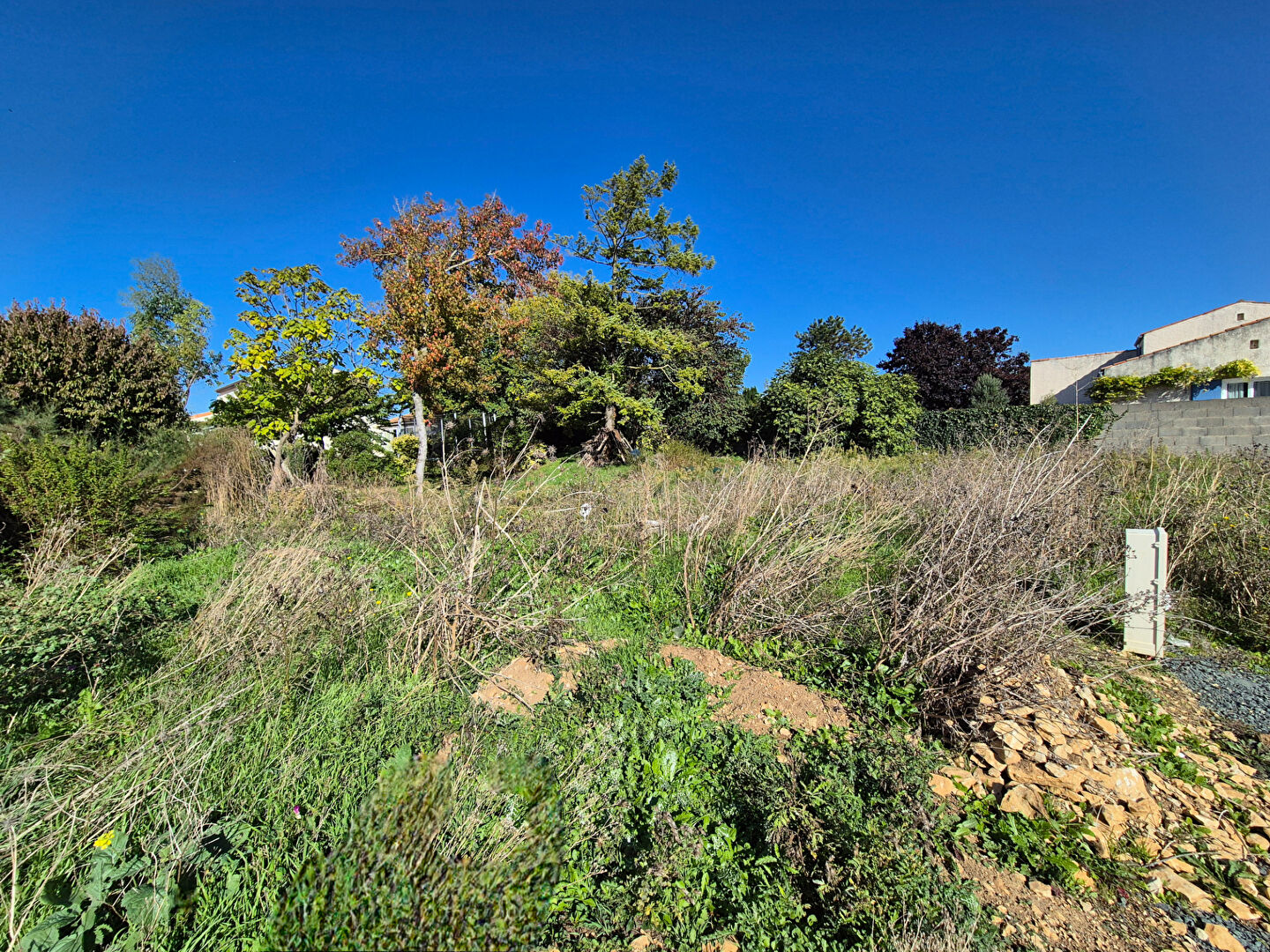 Terrain VILLEDOUX (17230) 323.00 m²