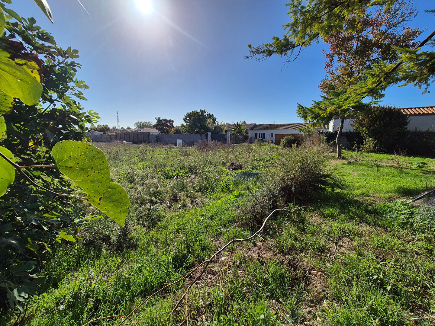 Terrain VILLEDOUX (17230) 323.00 m&sup2;