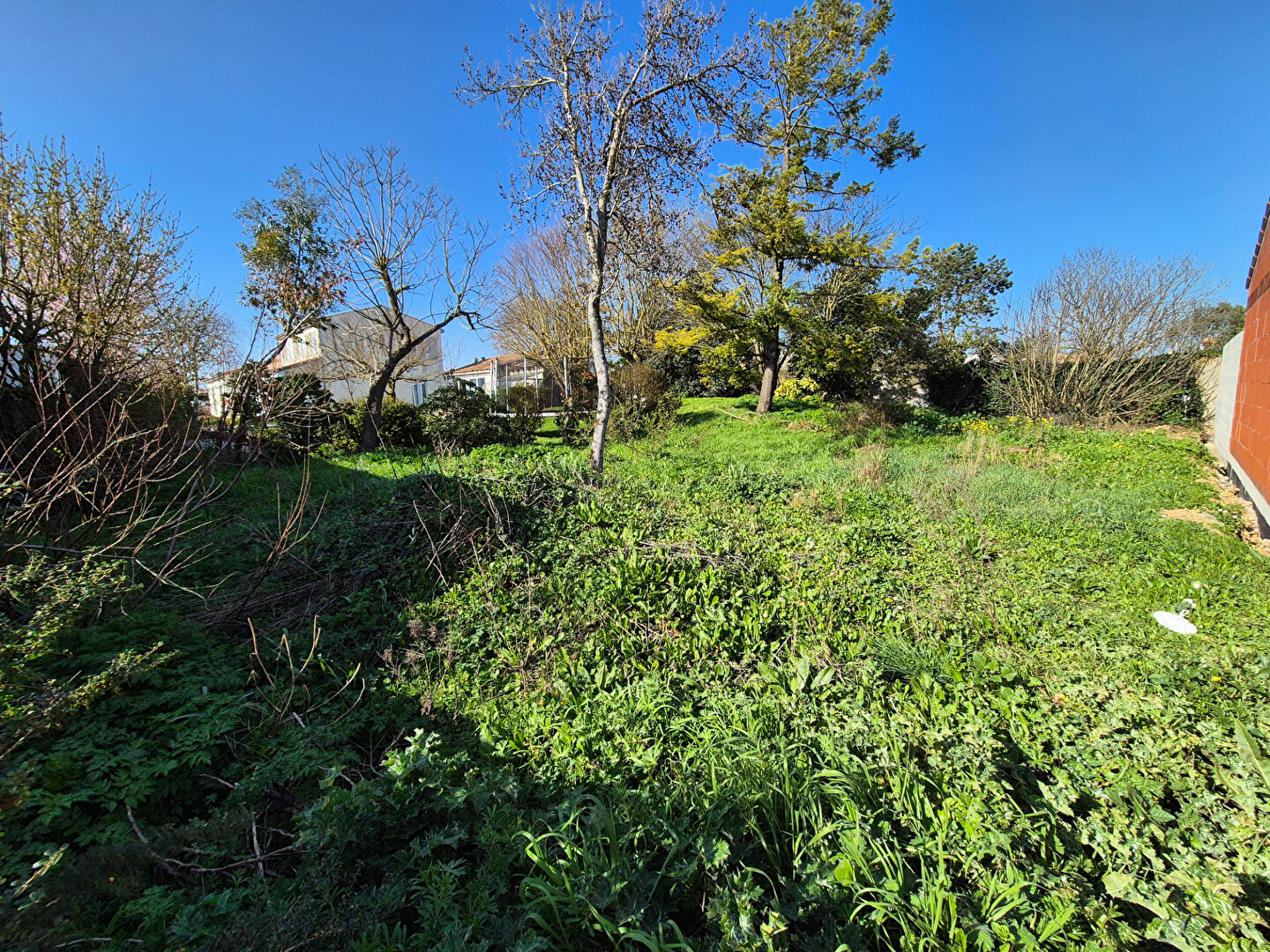 Terrain VILLEDOUX (17230) 323.00 m&sup2;