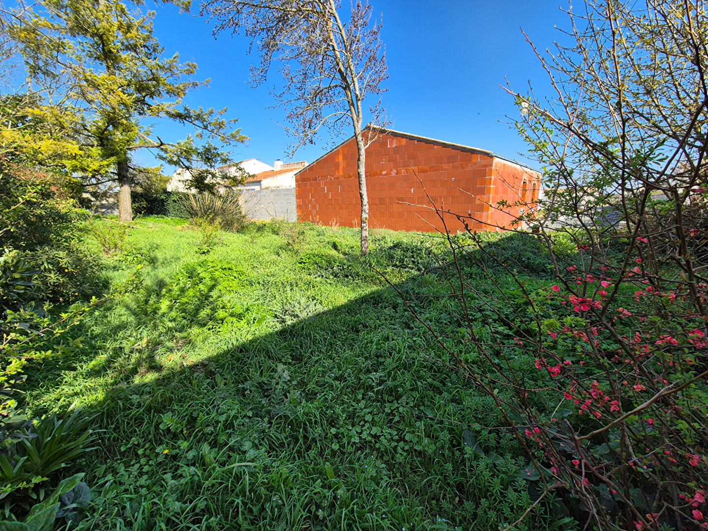 Terrain VILLEDOUX (17230) 323.00 m&sup2;