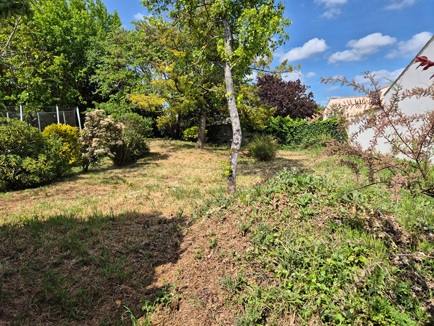 Terrain VILLEDOUX (17230) 323.00 m&sup2;