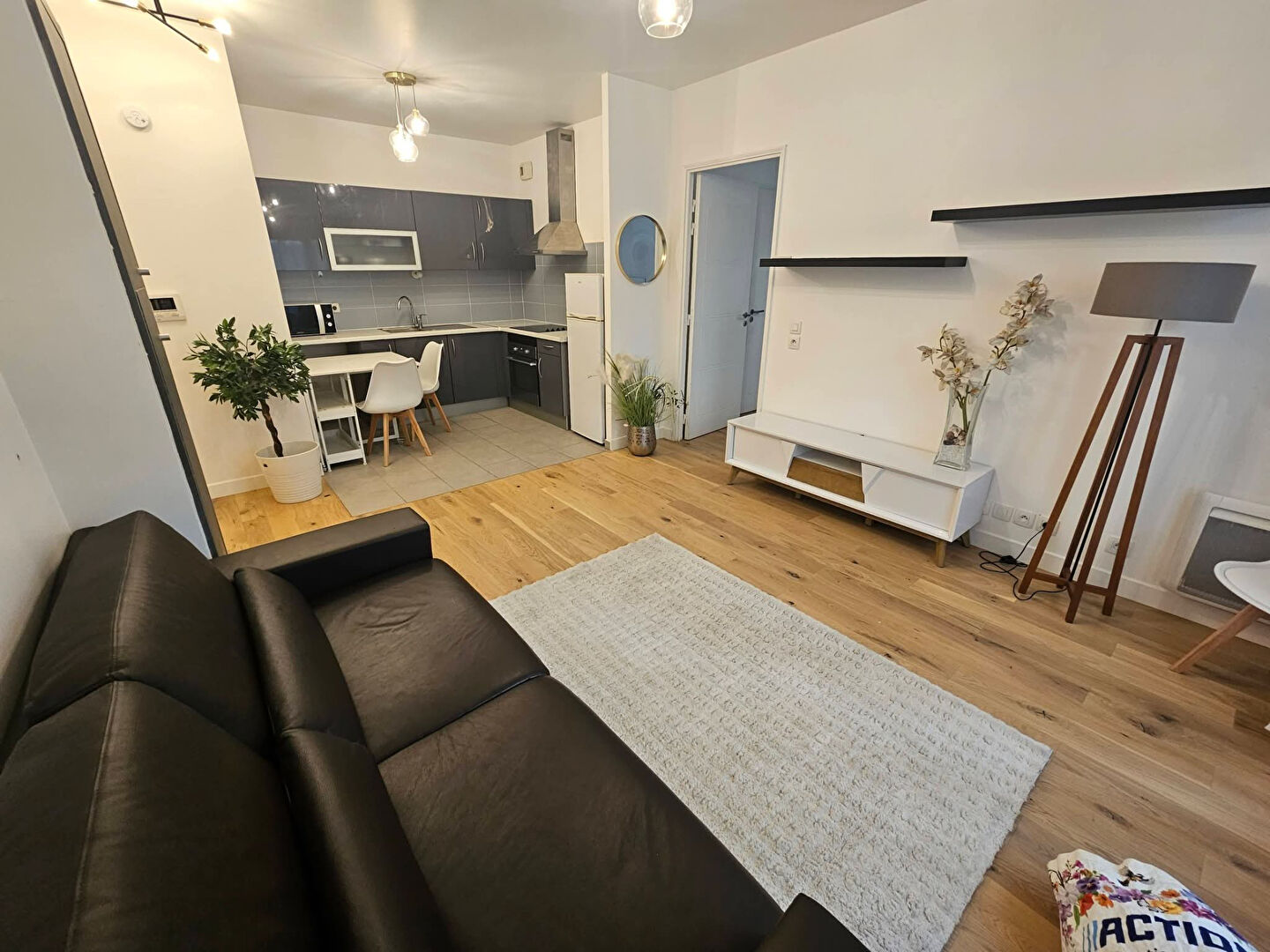 Appartement CHARENTON LE PONT (94220) 2 pi&egrave;ces 39.80 m&sup2;