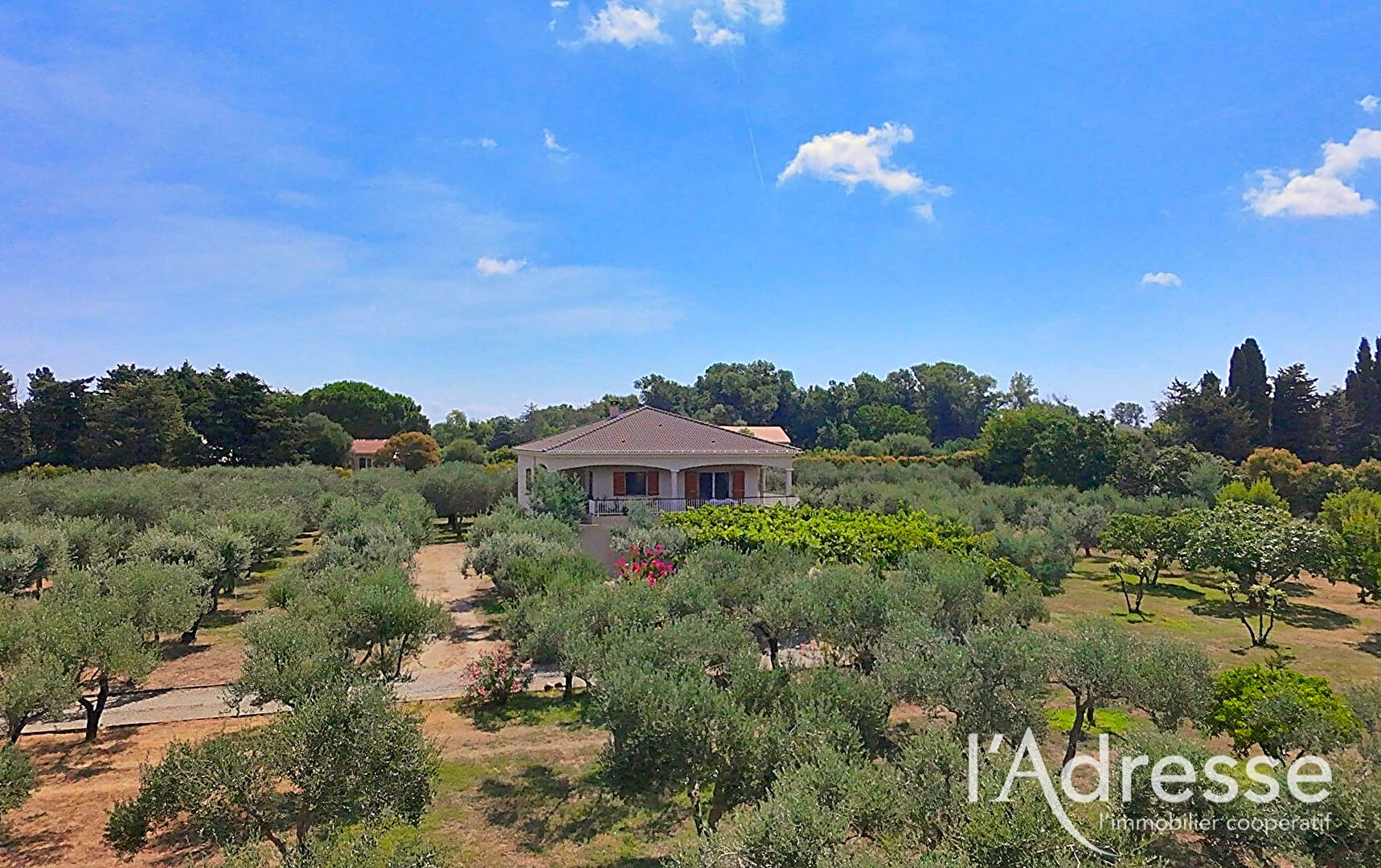 Maison LUCCIANA (20290) 8 pi&egrave;ces 202.00 m&sup2;