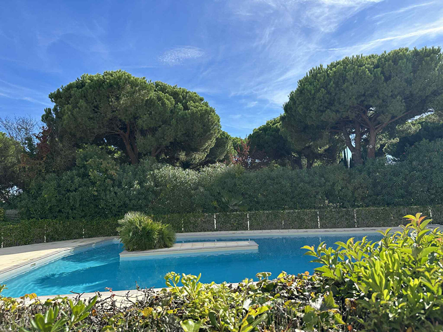 Appartement LA GRANDE MOTTE (34280) 1 pièce 23.70 m²