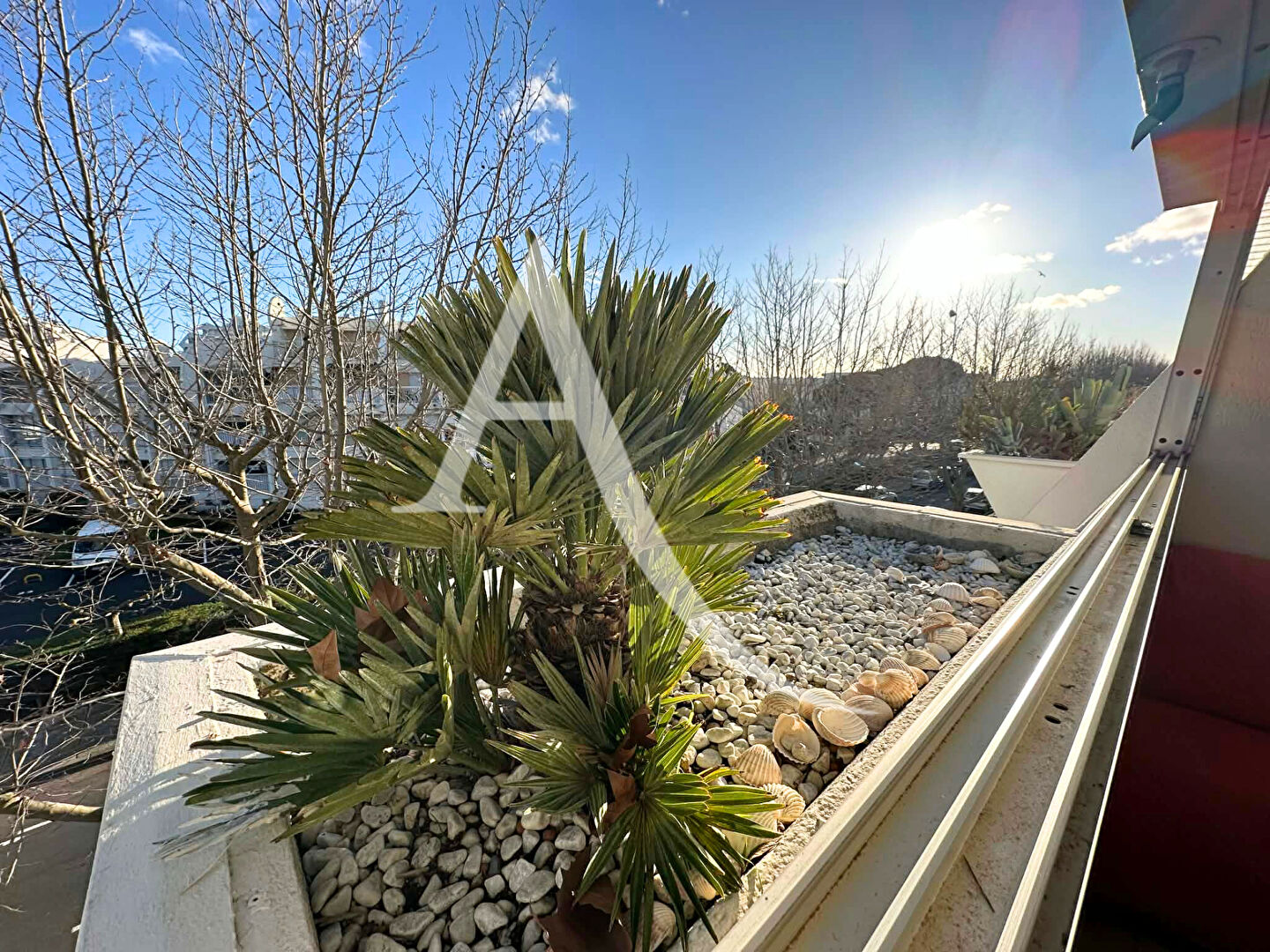 Appartement LA GRANDE MOTTE (34280) 1 pi&egrave;ce 31.00 m&sup2;