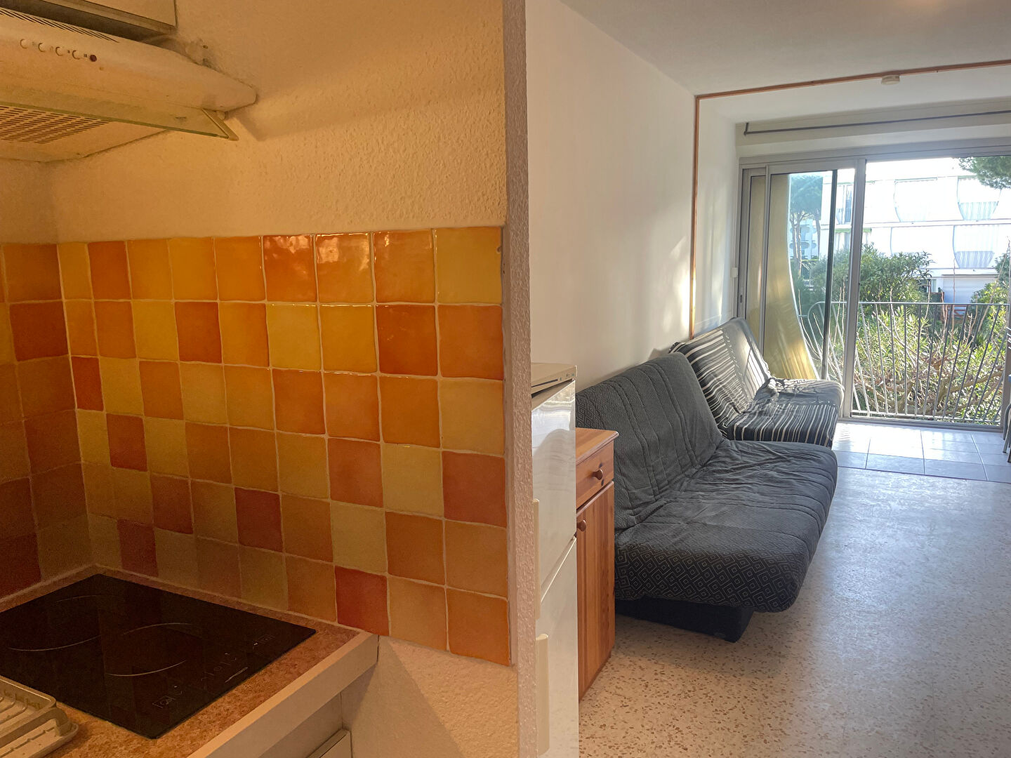 Appartement LA GRANDE MOTTE (34280) 1 pi&egrave;ce 24.98 m&sup2;