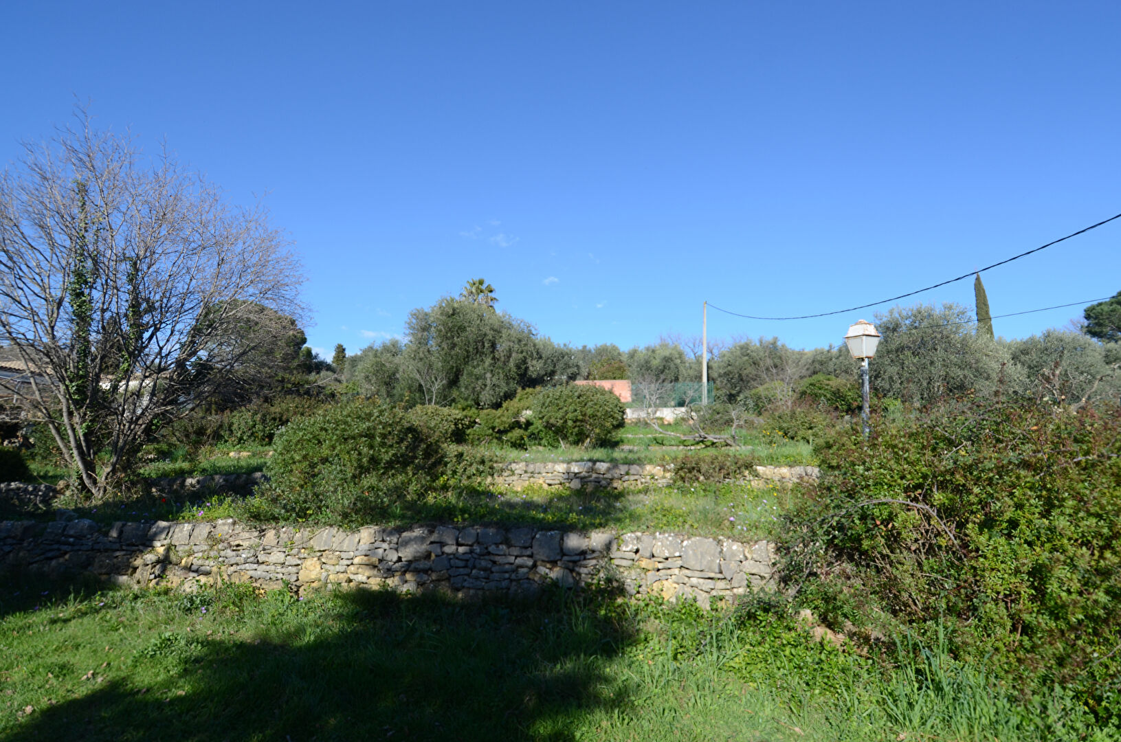 Terrain CHATEAUNEUF GRASSE (06740) 1296.00 m²
