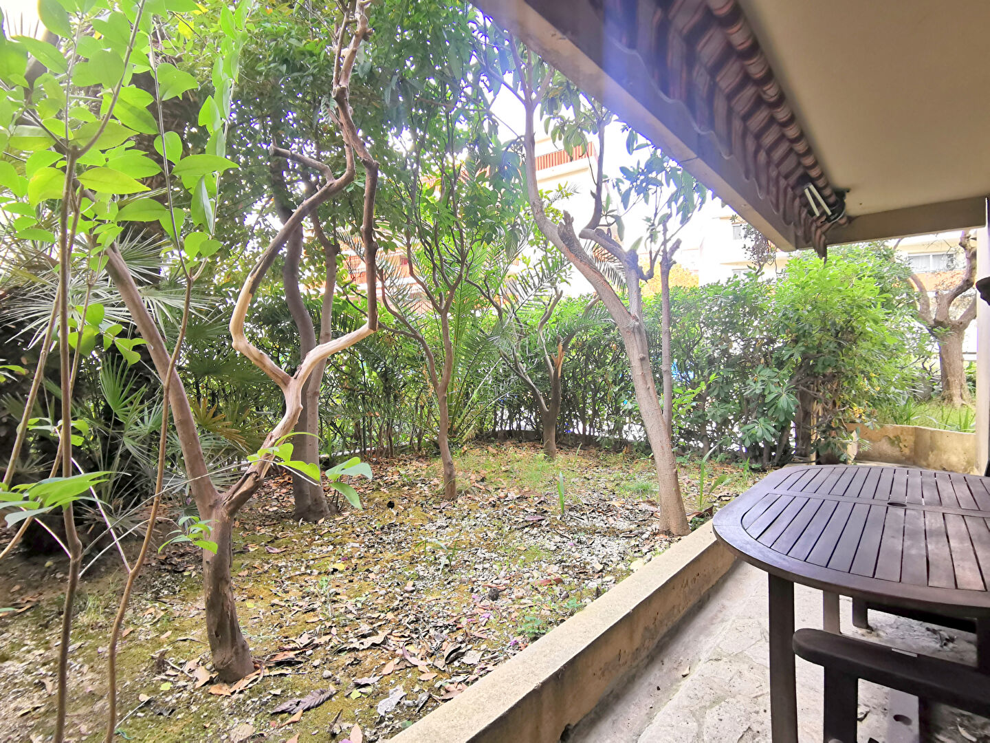 Appartement Nice (06100) 1 pièce 28.21 m²