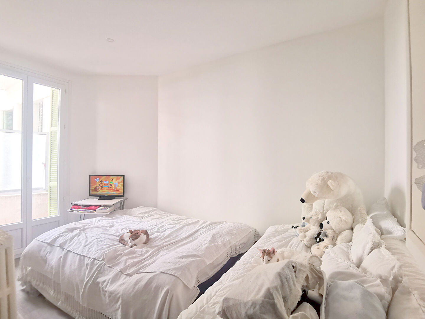 Appartement Nice (06100) 1 pi&egrave;ce 23.39 m&sup2;