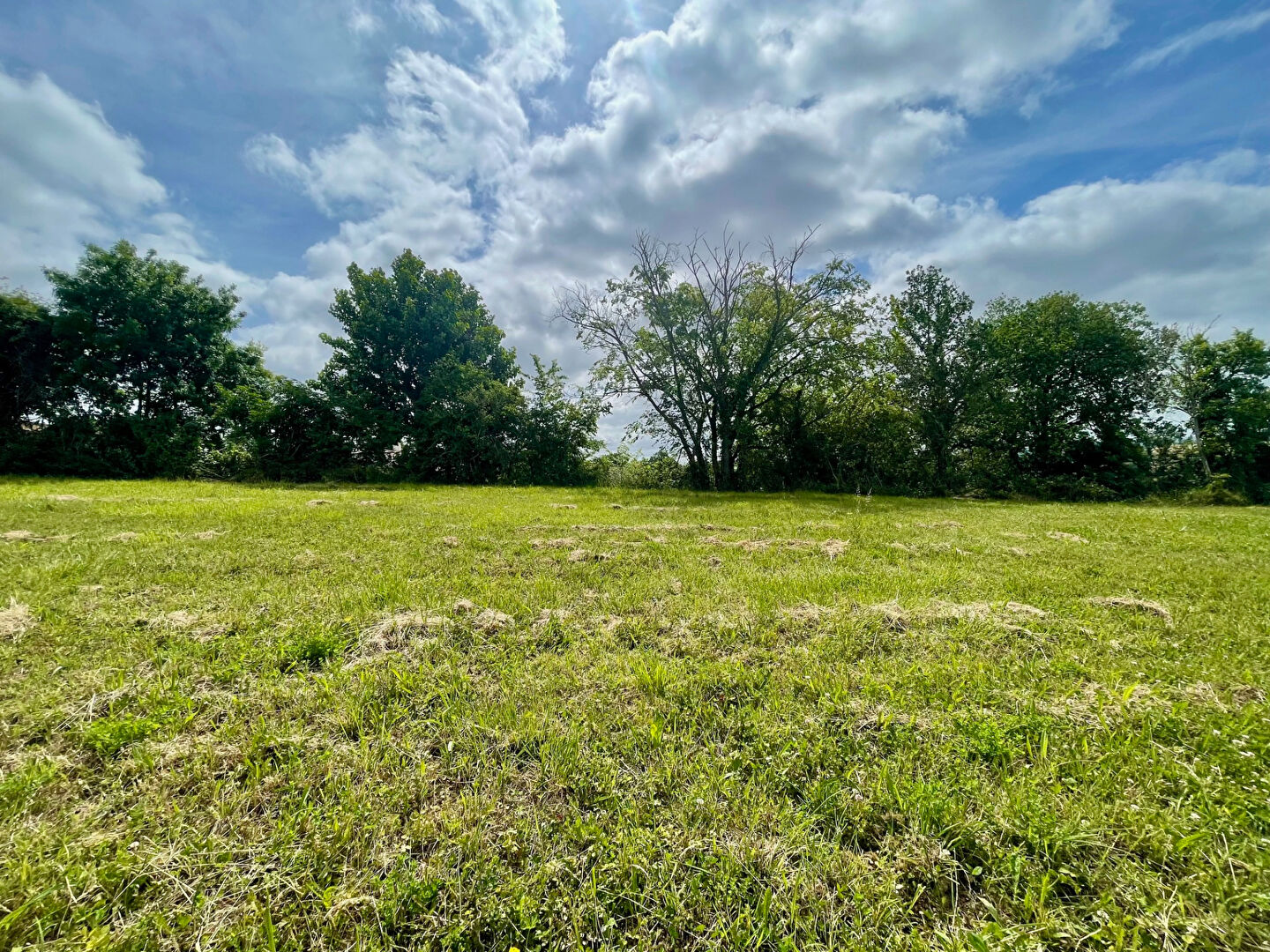 Terrain L ISLE JOURDAIN (32600) 1278.00 m²