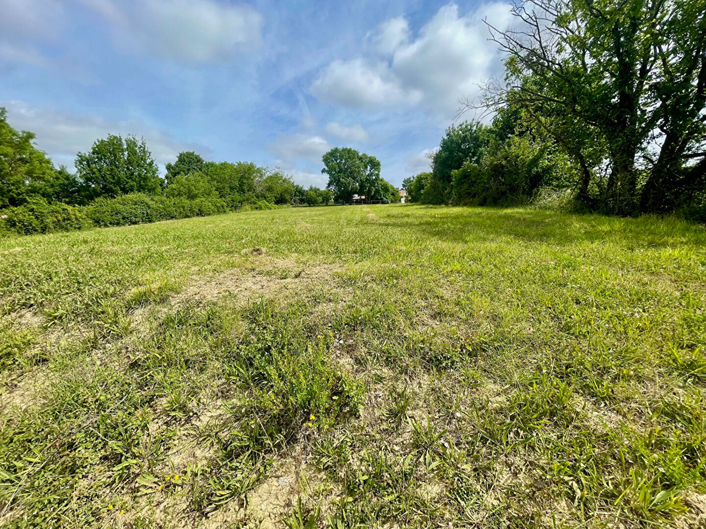 Terrain L ISLE JOURDAIN (32600) 1278.00 m²