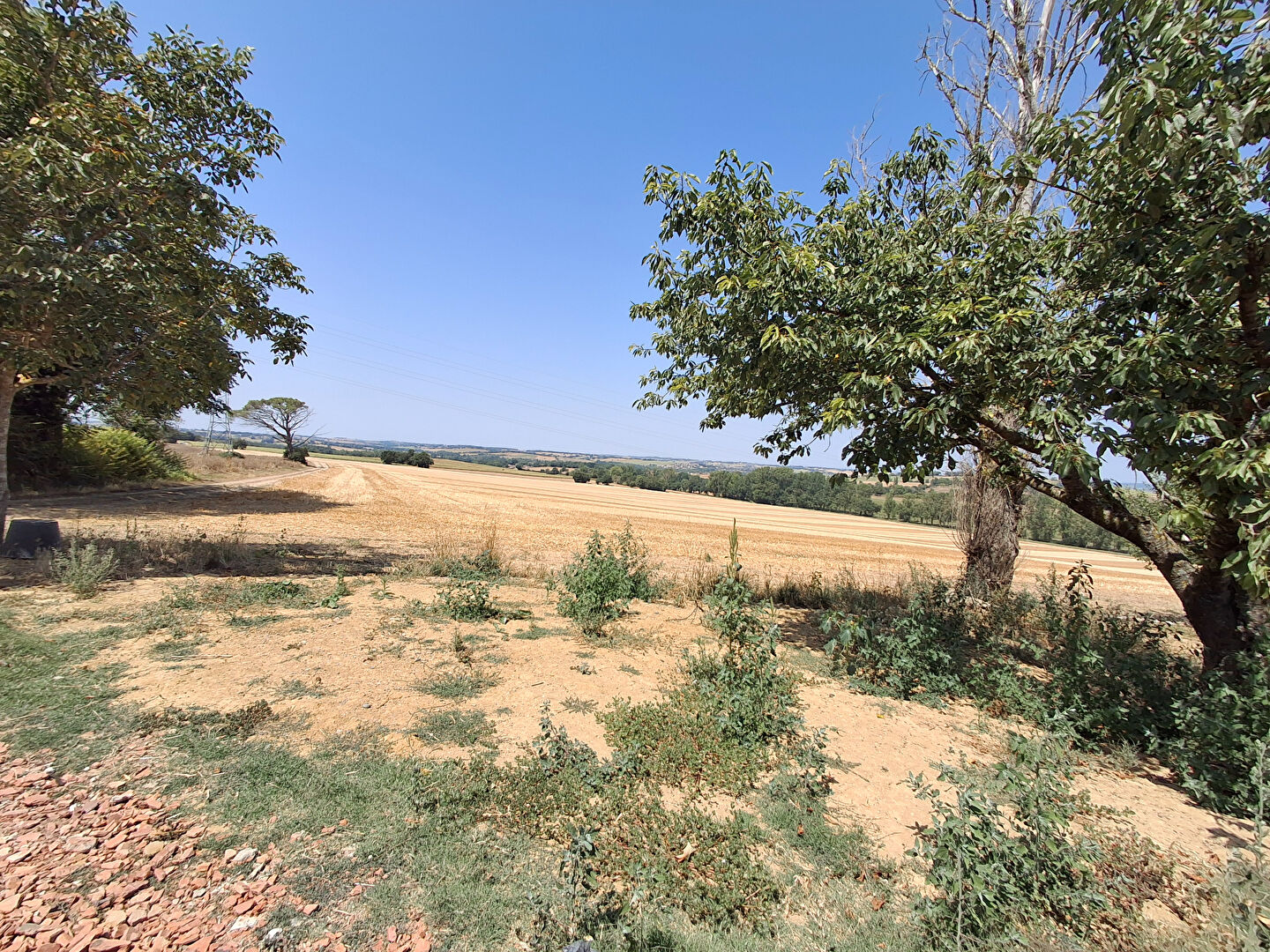 Terrain L ISLE JOURDAIN (32600) 2008.00 m²