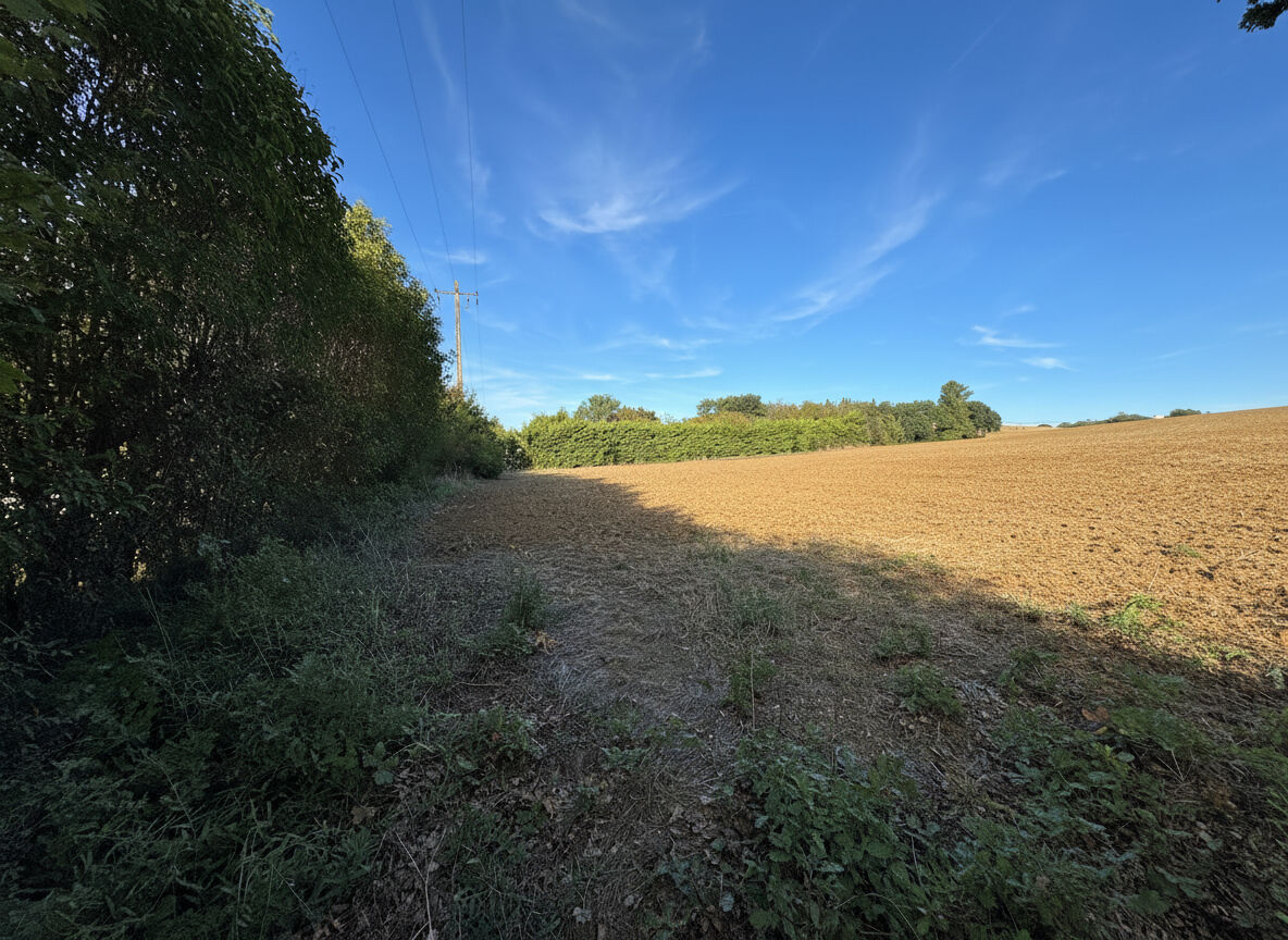 Terrain L ISLE JOURDAIN (32600) 1500.00 m&sup2;